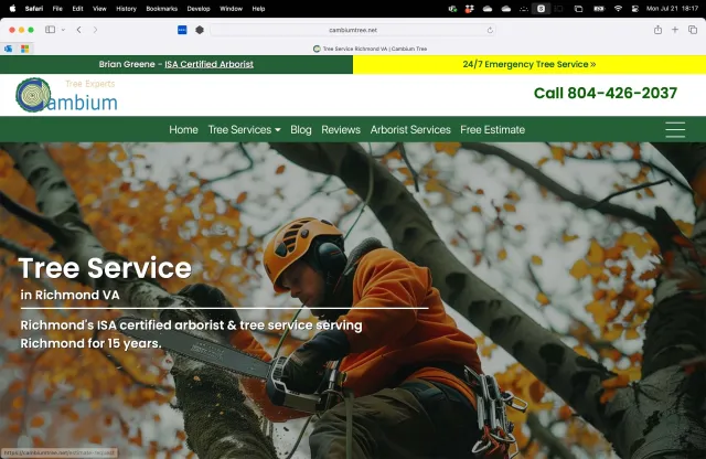 Cambium Tree Homepage